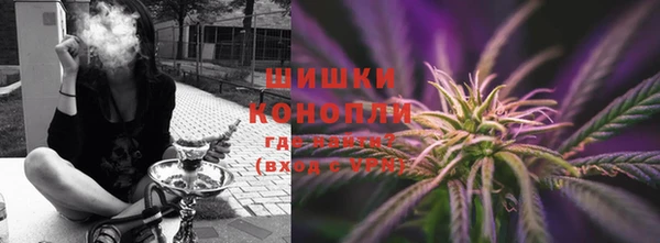 сатива Богородицк