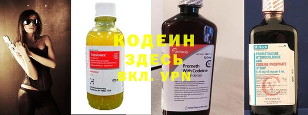 сатива Богородицк