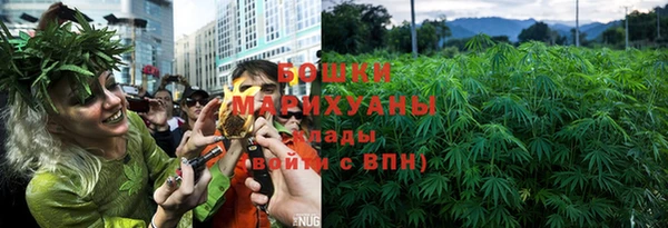 PSILOCYBIN Богданович