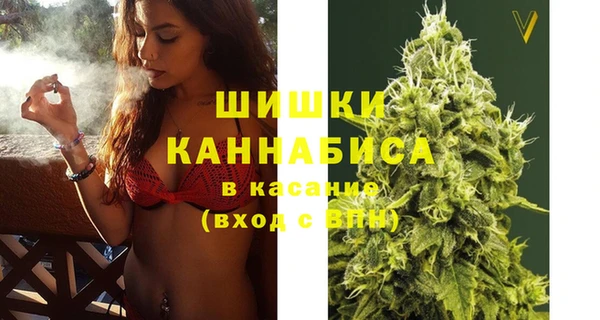 сатива Богородицк