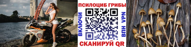 Галлюциногенные грибы Psilocybine cubensis  Джанкой 